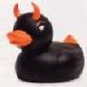 vtecduck