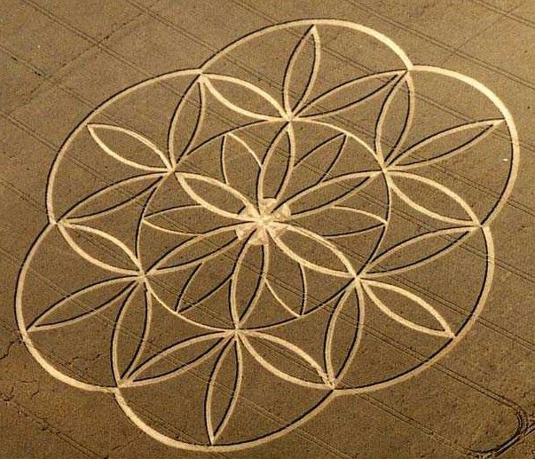 Flower%20of%20lifce%20crop%20circle.jpg