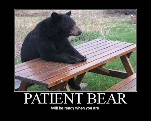 patient_bear1.jpg